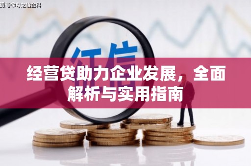 和平经营贷助力企业发展，全面解析与实用指南