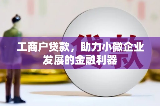 娄星工商户贷款，助力小微企业发展的金融利器
