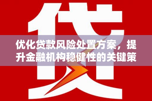 青岛优化贷款风险处置方案，提升金融机构稳健性的关键策略
