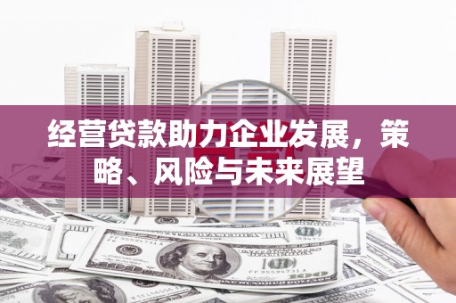 大渡口经营贷款助力企业发展，策略、风险与未来展望