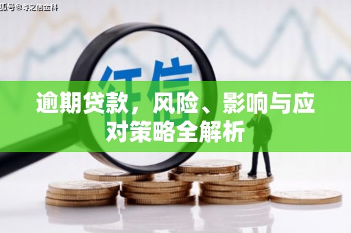 沙洋逾期贷款，风险、影响与应对策略全解析