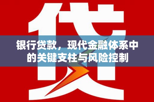 龙沙银行贷款，现代金融体系中的关键支柱与风险控制