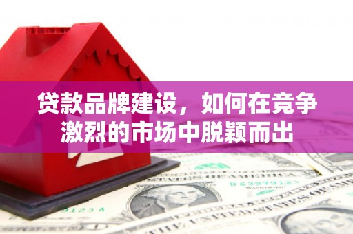 旺苍贷款品牌建设，如何在竞争激烈的市场中脱颖而出