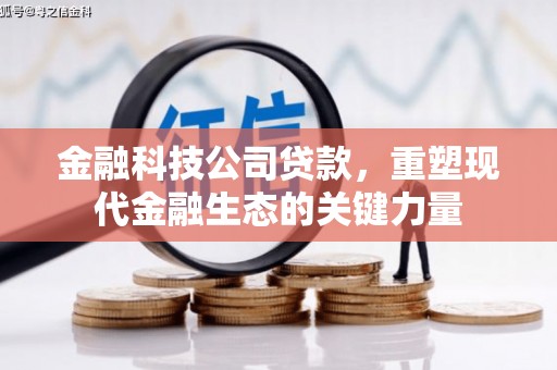 元宝山金融科技公司贷款，重塑现代金融生态的关键力量