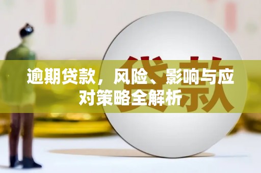 鹿草逾期贷款，风险、影响与应对策略全解析