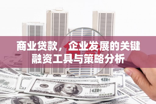 叶县商业贷款，企业发展的关键融资工具与策略分析
