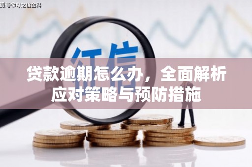 将军贷款逾期怎么办，全面解析应对策略与预防措施