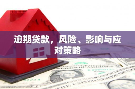 吴忠逾期贷款，风险、影响与应对策略