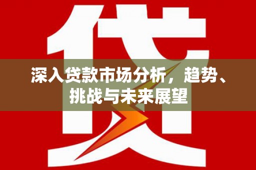 永济深入贷款市场分析，趋势、挑战与未来展望