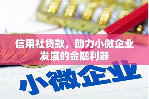 葵青信用社贷款，助力小微企业发展的金融利器