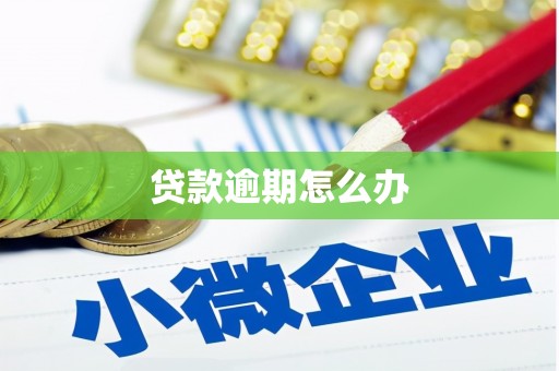 新兴贷款逾期怎么办