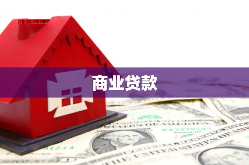 乐东商业贷款