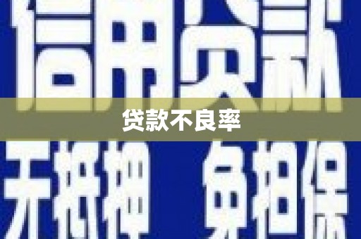 镇原贷款不良率