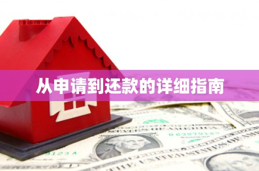龙崎从申请到还款的详细指南