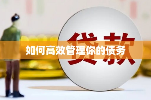 杂多如何高效管理你的债务