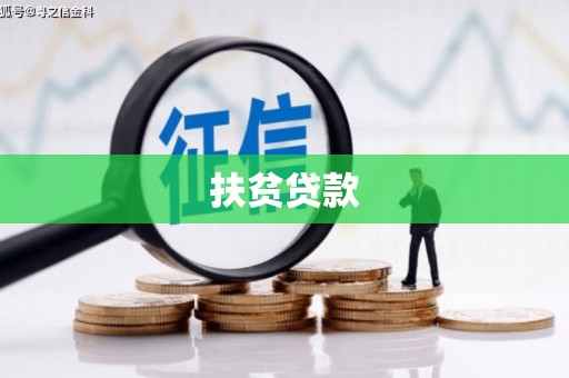 社旗扶贫贷款