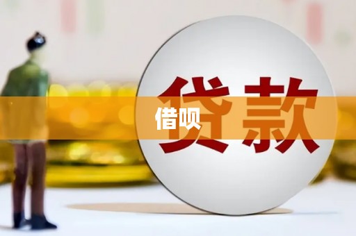 沈丘借呗