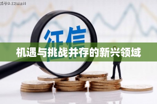 磴口机遇与挑战并存的新兴领域