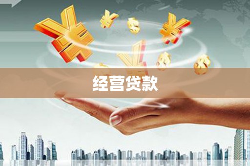 华宁经营贷款