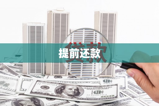 贺兰提前还款