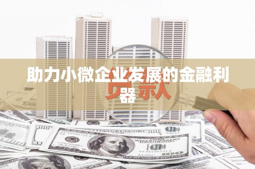 纳雍助力小微企业发展的金融利器