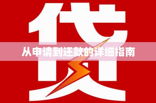 成武从申请到还款的详细指南