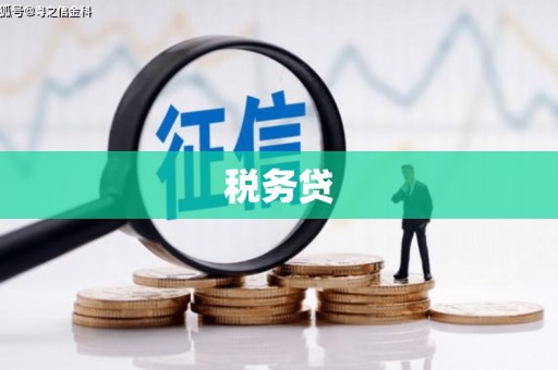 江南税务贷